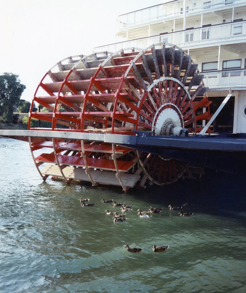 DeltaKingSternwheelDucksReducedEXP