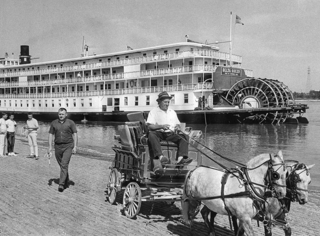 DeltaQueenPoniesPullWagonLevee45percent