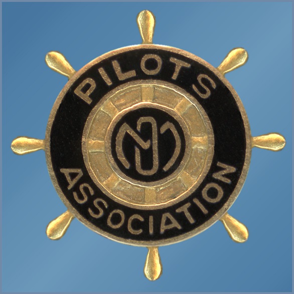 PilotsAssociationPinOverBlueForNORI