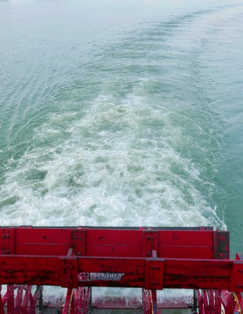 belle-paddlewheel