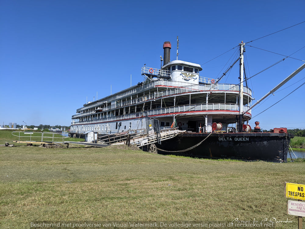 deltaqueen-2020-5