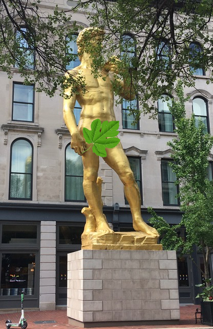 louisville-david